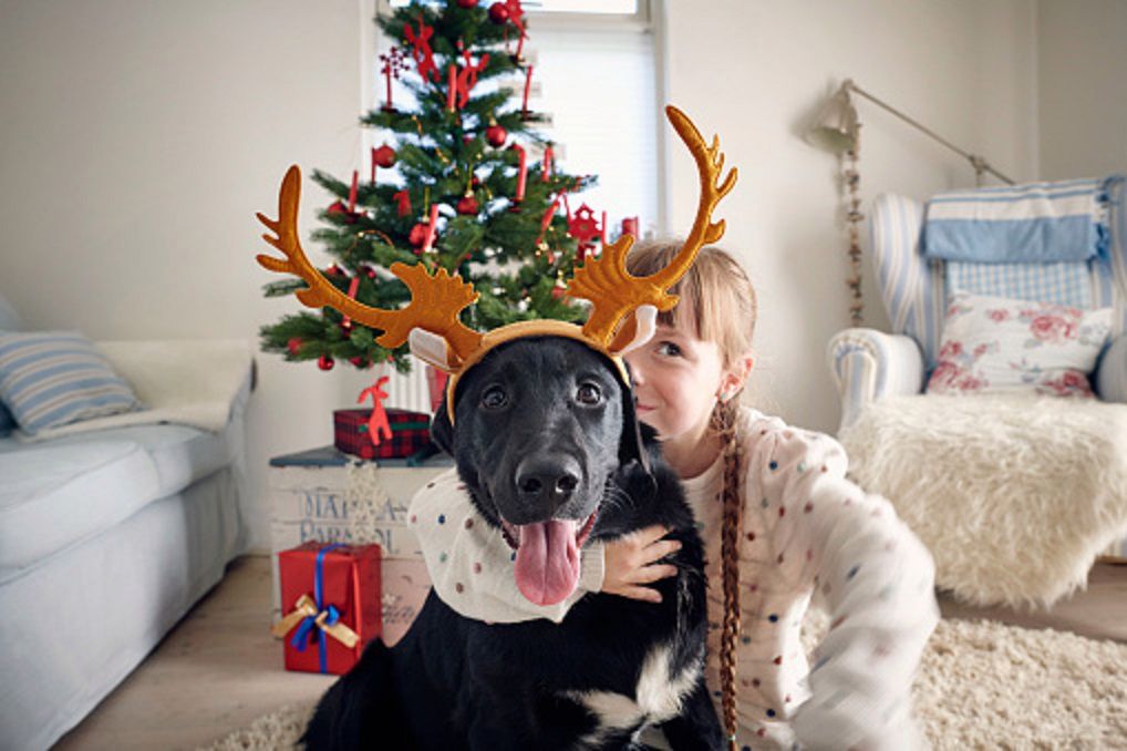 Jak rozmawiać o tradycji świąt w domu niekatolickim?