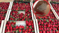 Liczba przypadków rośnie. "Może mieć piorunujący przebieg"