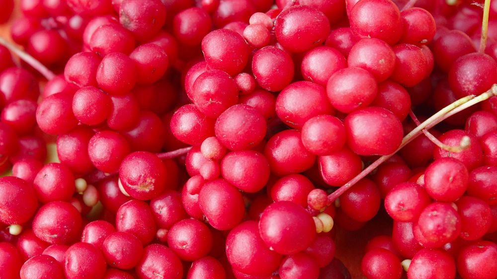 Jaki owoc ma właściwości antyrakowe?