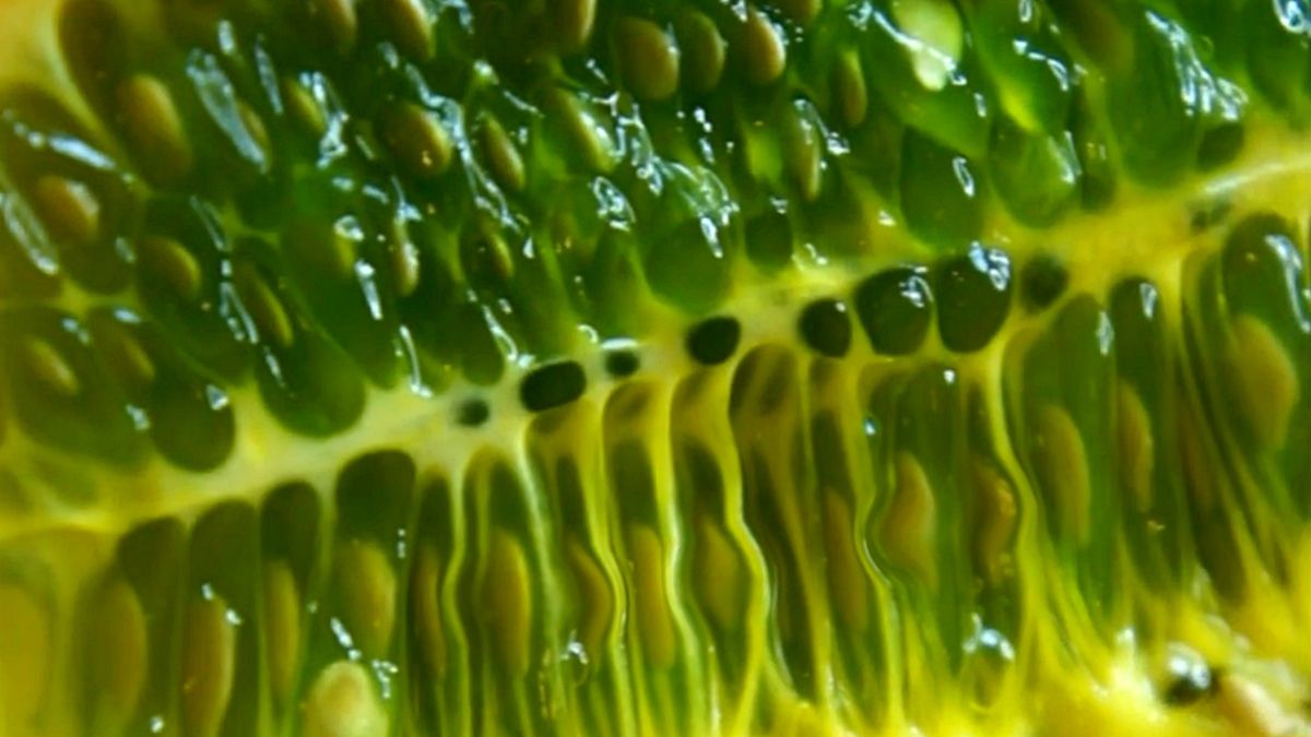 Kiwano zadziwia wyglądem, ale jego wartość odżywcza nie jest aż tak porażająca.