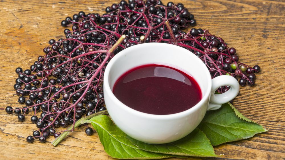 Syrop z czarnego bzu pomaga walczyć z przeziębieniem