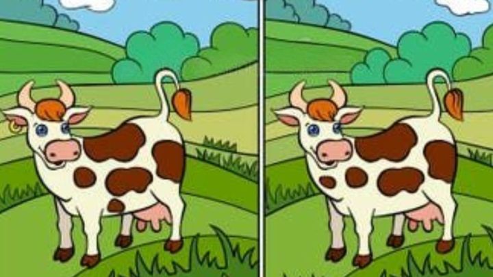 Oceń sprawność mózgu dziecka w kilka minut. Wykonaj ten szybki test