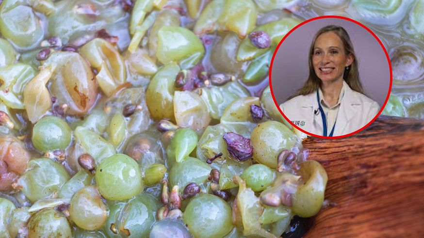 Przepis na zdrową wątrobę. Te produkty dodaj do diety, szybko zauważysz różnicę