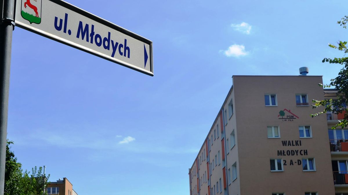 zdjęcie