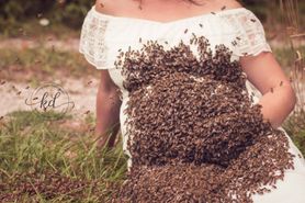 Sesja zdjęciowa kobiety w ciąży. Jej brzuch pokrywa 20 tys. pszczół