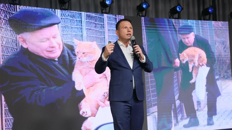 Sławomir Mentzen, Konfederacja