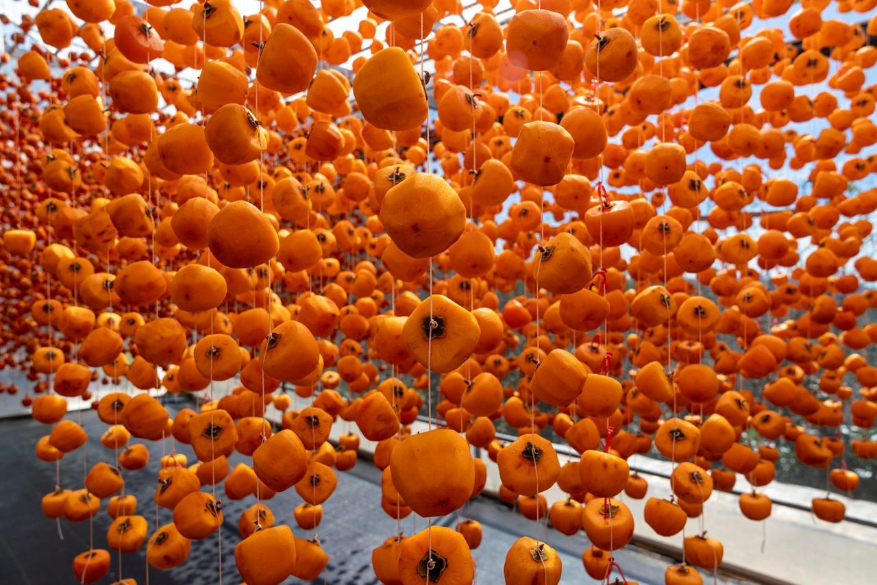 "Boski owoc". Zapobiega miażdżycy, cukrzycy, ratuje jelita