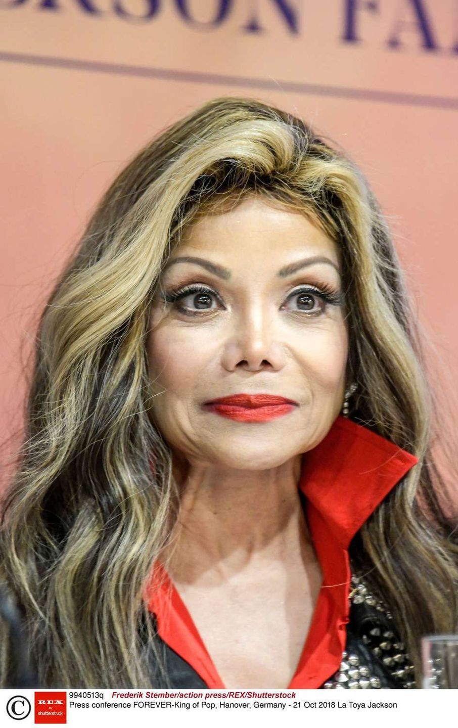 La Toya Jackson na konferencji w Hanowerze