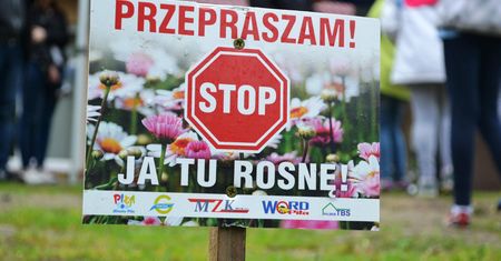 Przepraszam, ja tu rosnę!