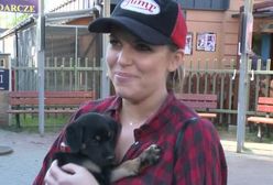 Aleksandra Kwaśniewska rozważa adopcję psa ze schroniska