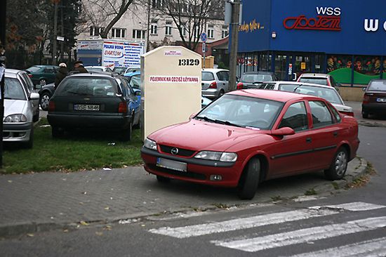 Obraz