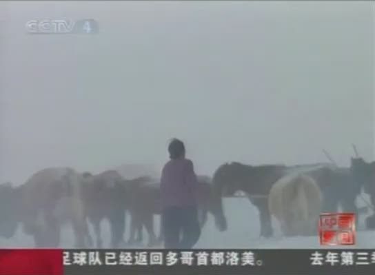 Mongolia również sparaliżowana atakiem zimy - video