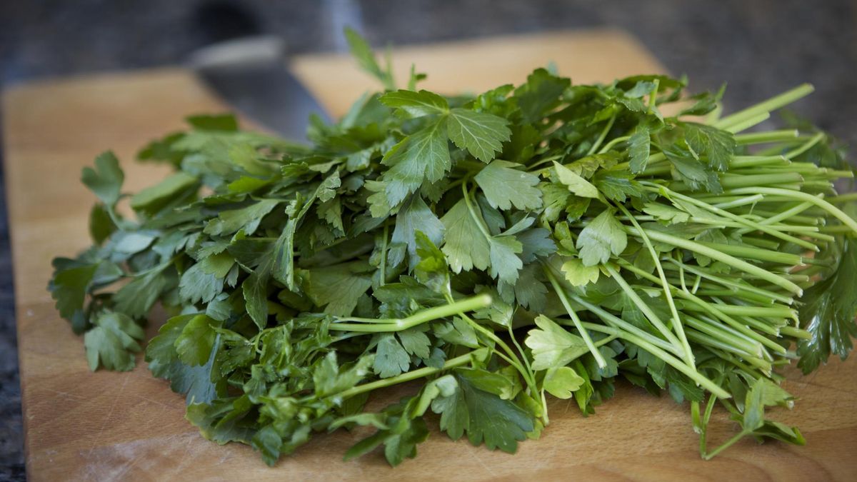 Pietruszka - właściwości lecznicze - zastosowanie