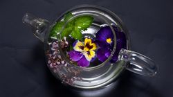 Zdrowotne właściwości fiołka trójlistnego, czyli popularnego bratka