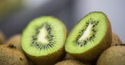 Dlaczego warto jeść kiwi na czczo? Właściwości zdrowotne