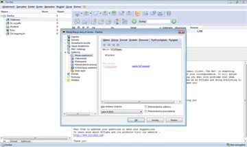 TheBat! - ustawienia konta