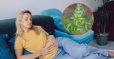Naturalne wsparcie dla wątroby. Może pomóc po przejedzeniu