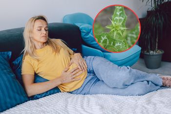 Naturalne wsparcie dla wątroby. Może pomóc po przejedzeniu