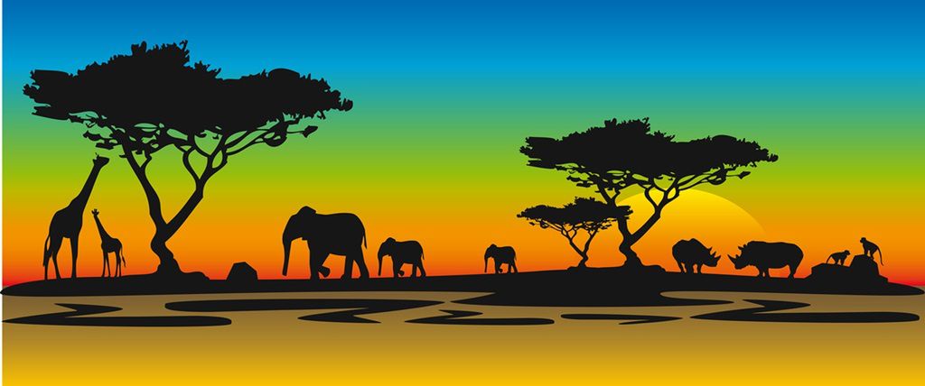 Zwierzęta żyjące w Afryce to m.in. słonie, żyrafy i zebry