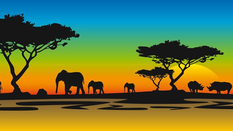 Zwierzęta żyjące w Afryce to m.in. słonie, żyrafy i zebry