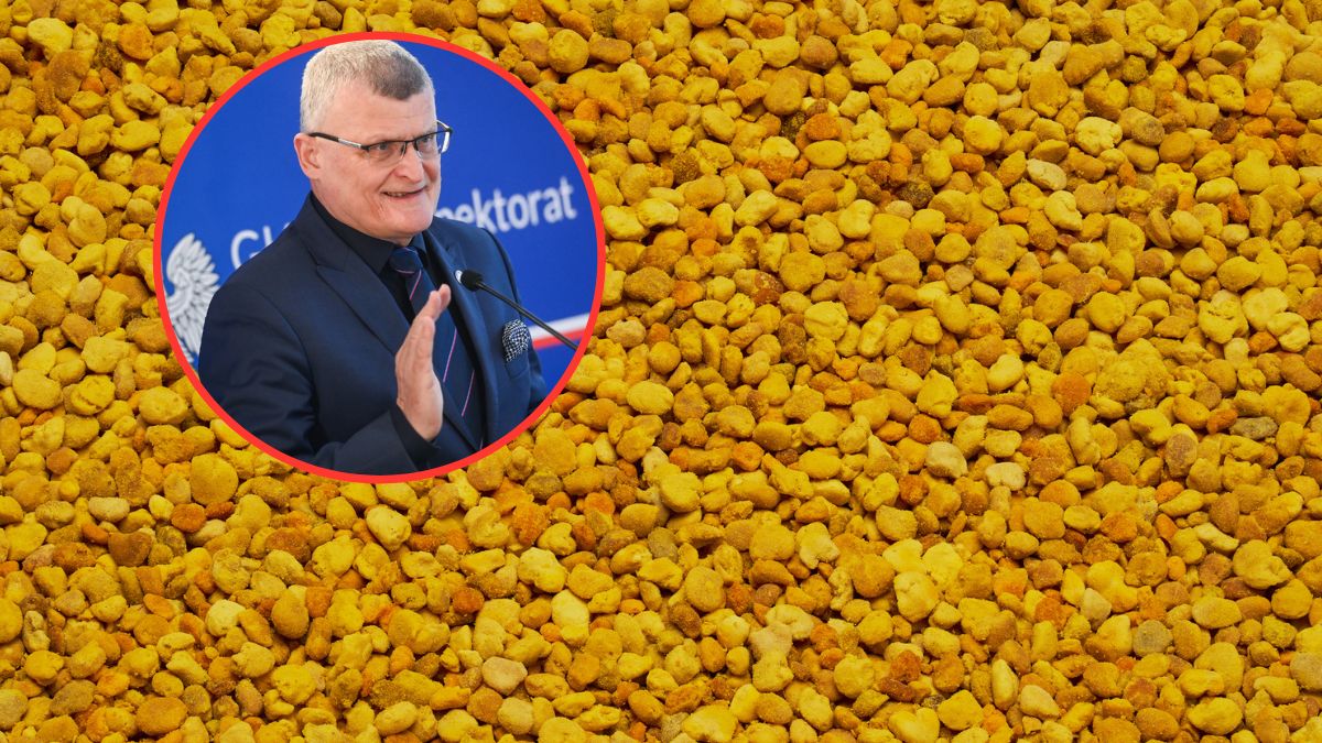 Groźne dla wątroby związki w pyłku kwiatowym. Komunikat GIS