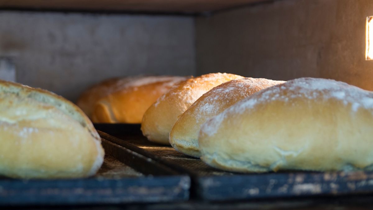 Bułki żytnie można jeść na ciepło