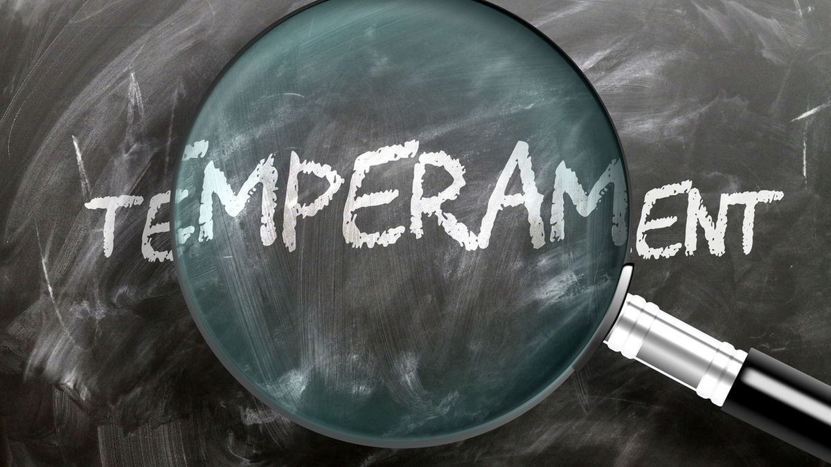 Temperament to wrodzone cechy ludzkiej osobowości, które dziedziczymy w genach