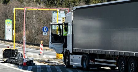 Pryszczyca a sytuacja w Polsce. Aktualne informacje, ostrzeżenia i zalecenia ministerstwa