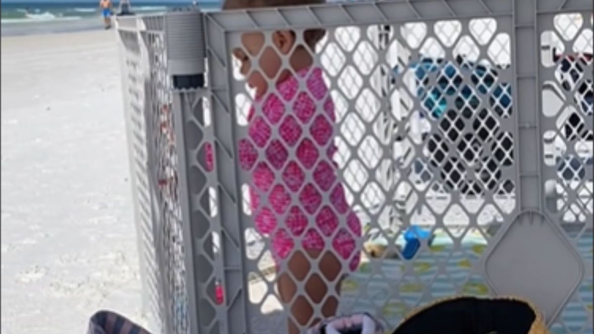 Zamiast z parawanem, jeżdżą nad morze z klatką. Mają jeden powód