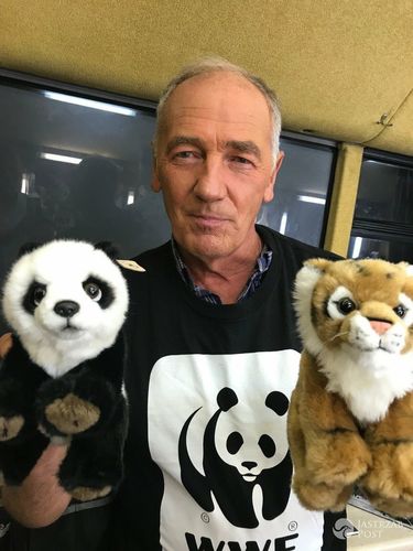 Karol Strasburger wspiera Światowy Dzień Tygrysa (WWF Polska)