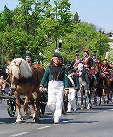 Obchody ogłoszenia Konstytucji 3 Maja