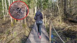 Leśnicy pokazali nagranie z polskiego lasu. "Omińmy ją szerokim łukiem"