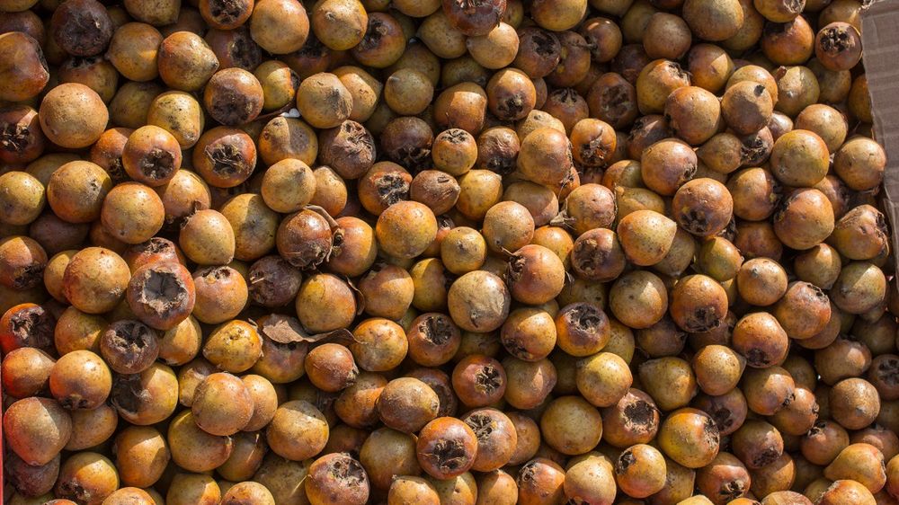 Wsparcie dla jelit, ochrona przed zawałem serca