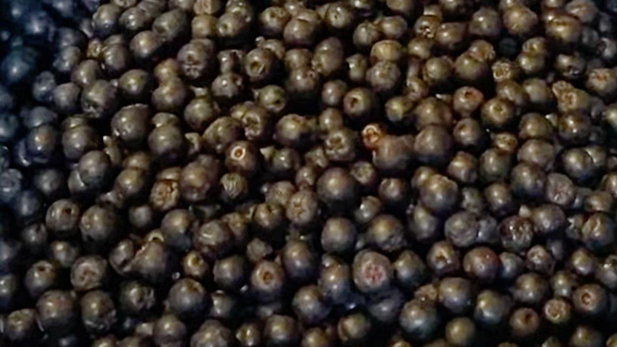 Aronia nie zachęca smakiem, ale za to jej skład robi wrażenie.