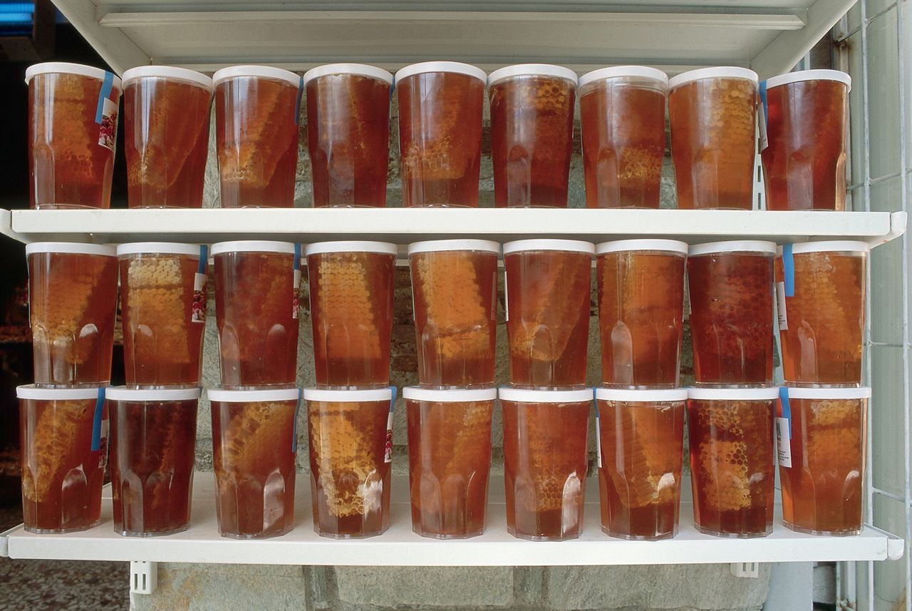 Wymiata cholesterol i trójglicerydy z tętnic. Dobry dla serca i wątroby, ale tylko pod jednym warunkiem