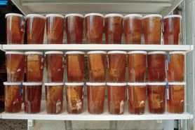 Wymiata cholesterol i trójglicerydy z tętnic. Dobry dla serca i wątroby, ale tylko pod jednym warunkiem