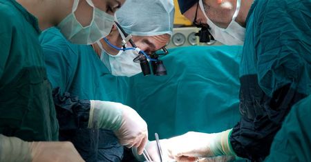 Pół wieku polskiej transplantologii