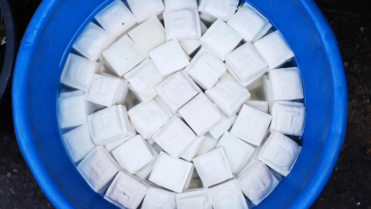 Zdrowe tłuszcze chronią przed rakiem