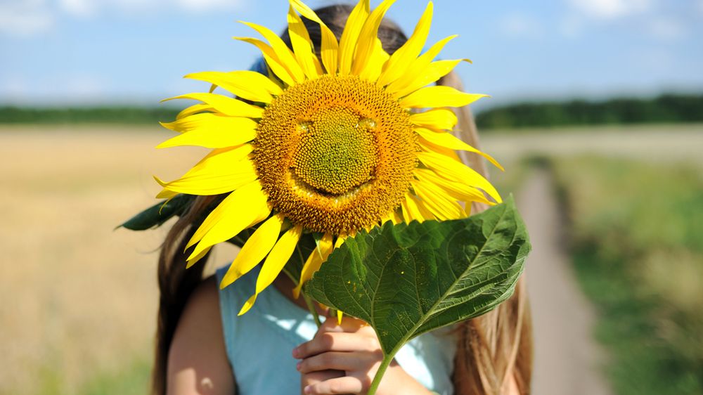Skąd się biorą optymiści?