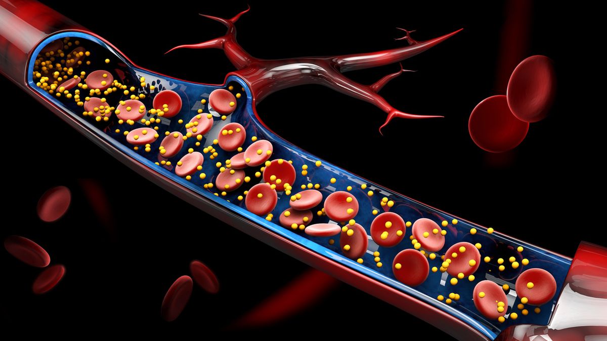 Krążenie oboczne pozwala na zastępcze ukrwienie narządu.