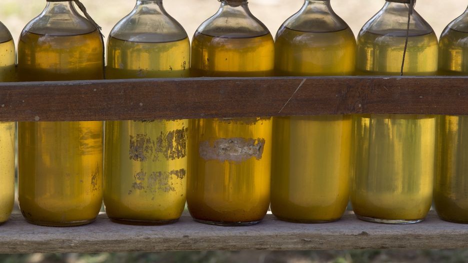 Najzdrowszy olej. Uderza w raka, wspiera mózg, wymiata cholesterol i tłuszcz