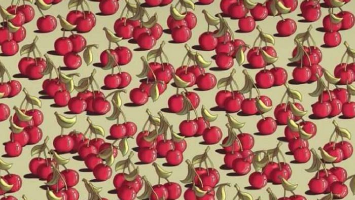 Czy widzisz ukrytego pomidora?