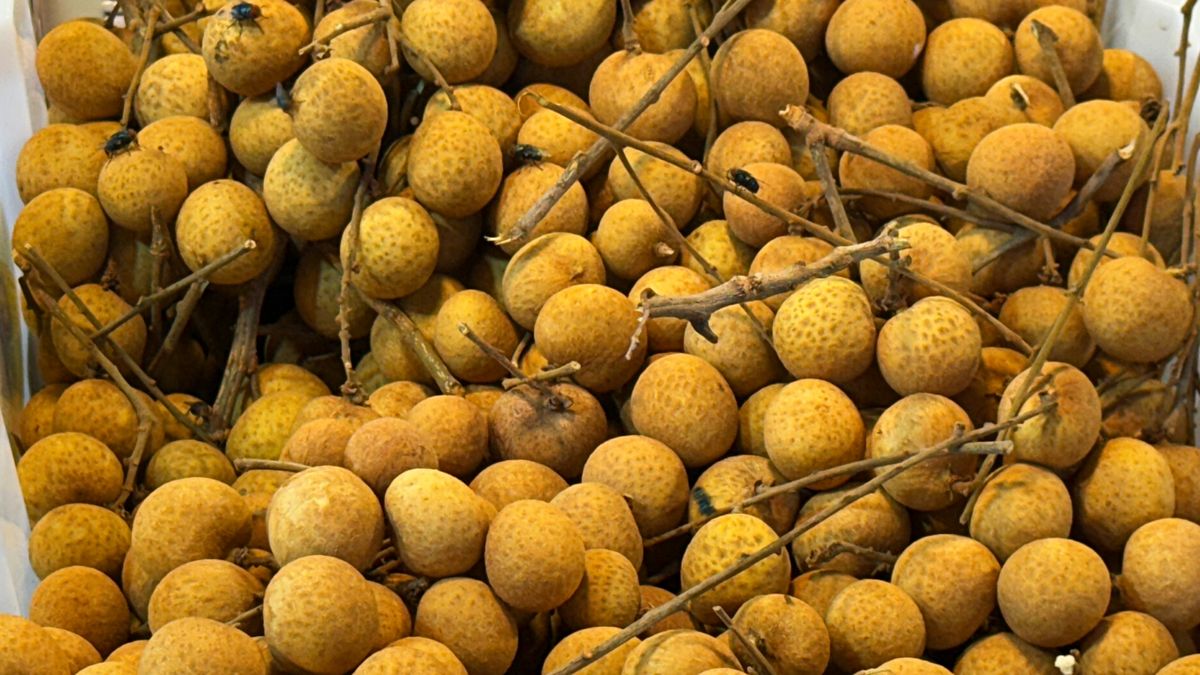 Longan to nie tylko słodki, egzotyczny owoc, ale też naturalne wsparcie dla ciała i umysłu.