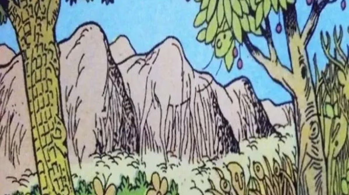 Jakie zwierzę widzisz?