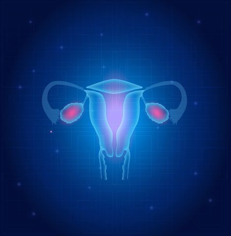 Stężenie progesteronu odgrywa ważną rolę podczas ciąży