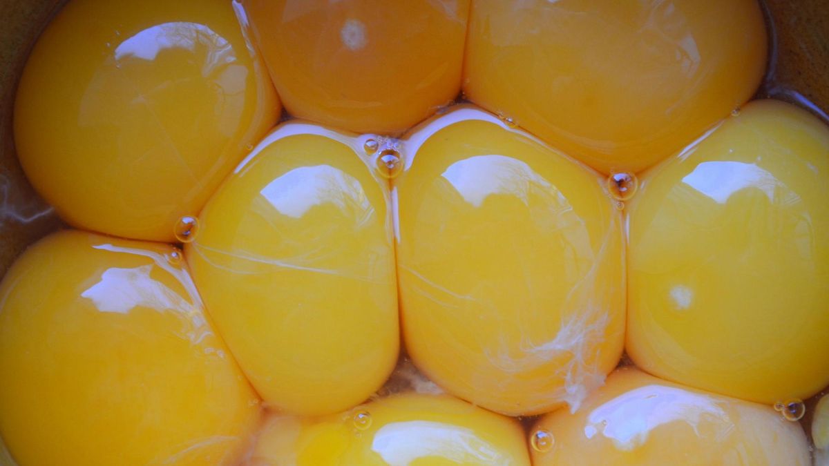 Żółtko kontra białko – które jest zdrowsze?