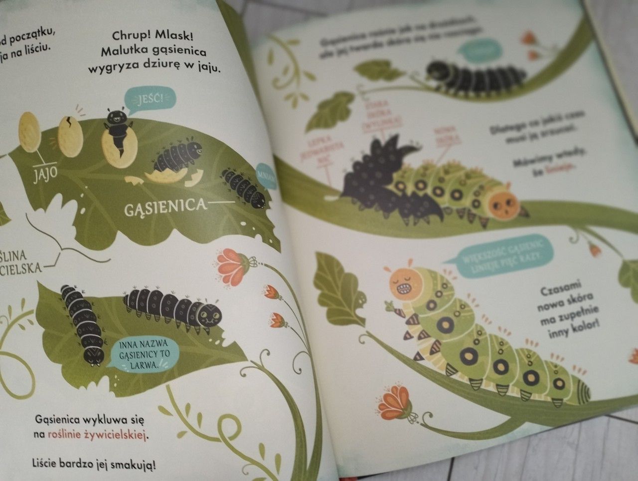 Co się kryje w kokonie?