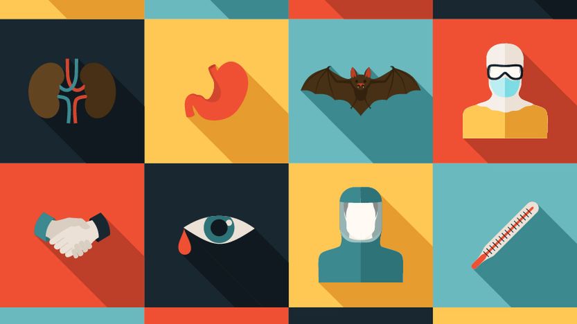 Fakty o eboli, które musisz znać!