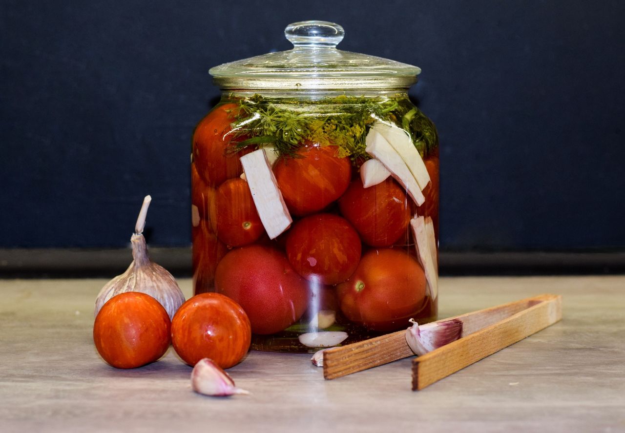 Kiszone pomidory - właściwości, zastosowanie, przepisy