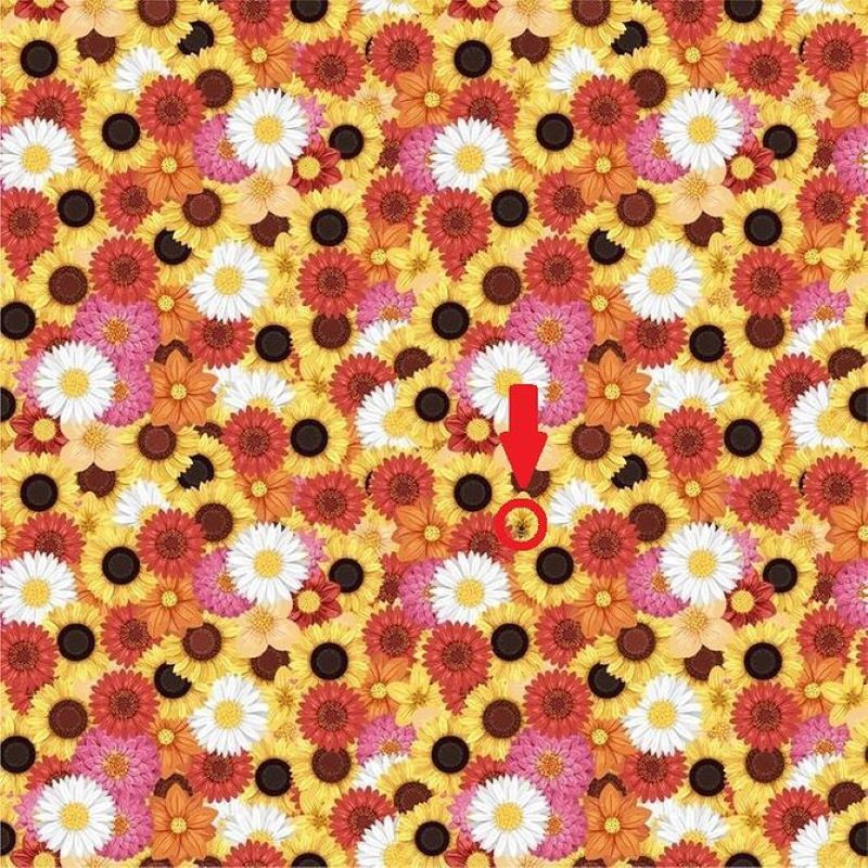 Ten test dzieci rozwiązują bardzo szybko